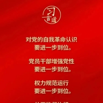 党内不允许有特权思想、特权现象存在，更不允许出现利益集团、权势团体、特权阶层