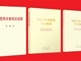 习近平法治思想的重大理论创新：坚持依法治国、依法执政、依法行政共同推进
