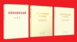 习近平法治思想的重大理论创新：坚持依法治国、依法执政、依法行政共同推进