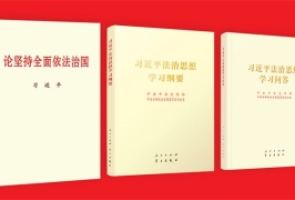 习近平法治思想的重大理论创新：坚持依法治国、依法执政、依法行政共同推进