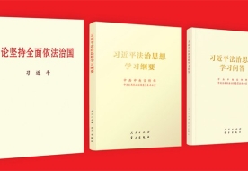 习近平法治思想的重大理论创新：坚持依法治国、依法执政、依法行政共同推进