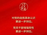 党内不允许有特权思想、特权现象存在，更不允许出现利益集团、权势团体、特权阶层