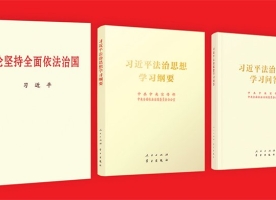 习近平法治思想的重大理论创新：坚持依法治国、依法执政、依法行政共同推进