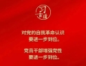 党内不允许有特权思想、特权现象存在，更不允许出现利益集团、权势团体、特权阶层
