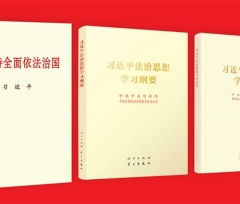 习近平法治思想的重大理论创新：坚持依法治国、依法执政、依法行政共同推进