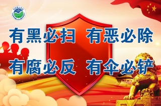 坚定不移与黑恶势力斗争到底——中央政法委负责同志就开展深化扫黑除恶专项斗争有关问题答记者问