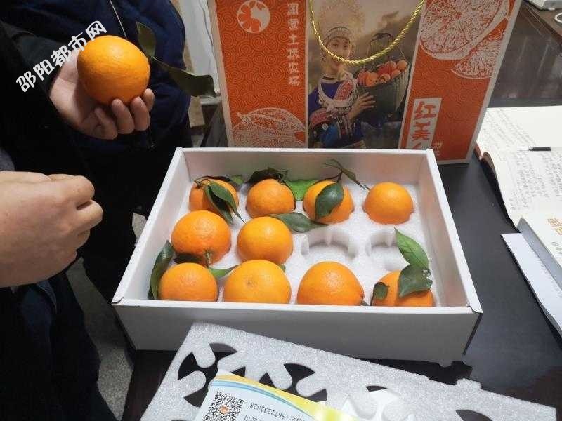 e1e0d2c1-fc40-4483-9082-98d2de735fb0.jpg