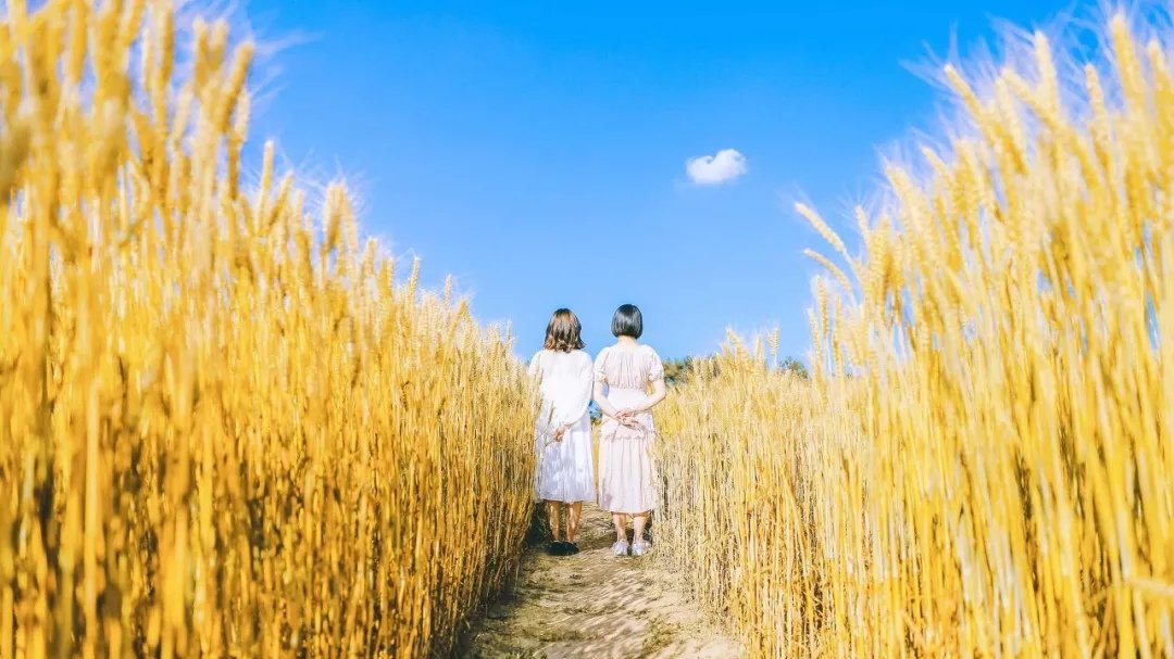 IMG_20210719_163019.jpg IMG_20210719_163019.jpg