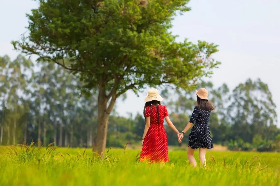 IMG_20210719_163028.jpg IMG_20210719_163028.jpg