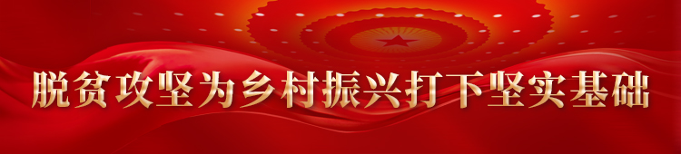 接续奋斗 乡村更美——湖南大力推进乡村振兴战略