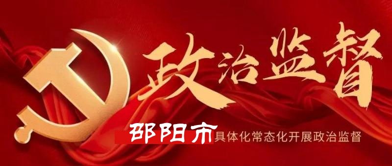 扛牢政治责任 强化政治监督  回眸2023①