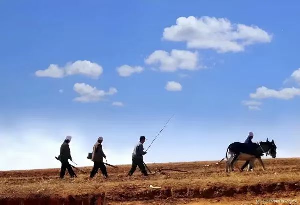 出自社会：古今论天下！