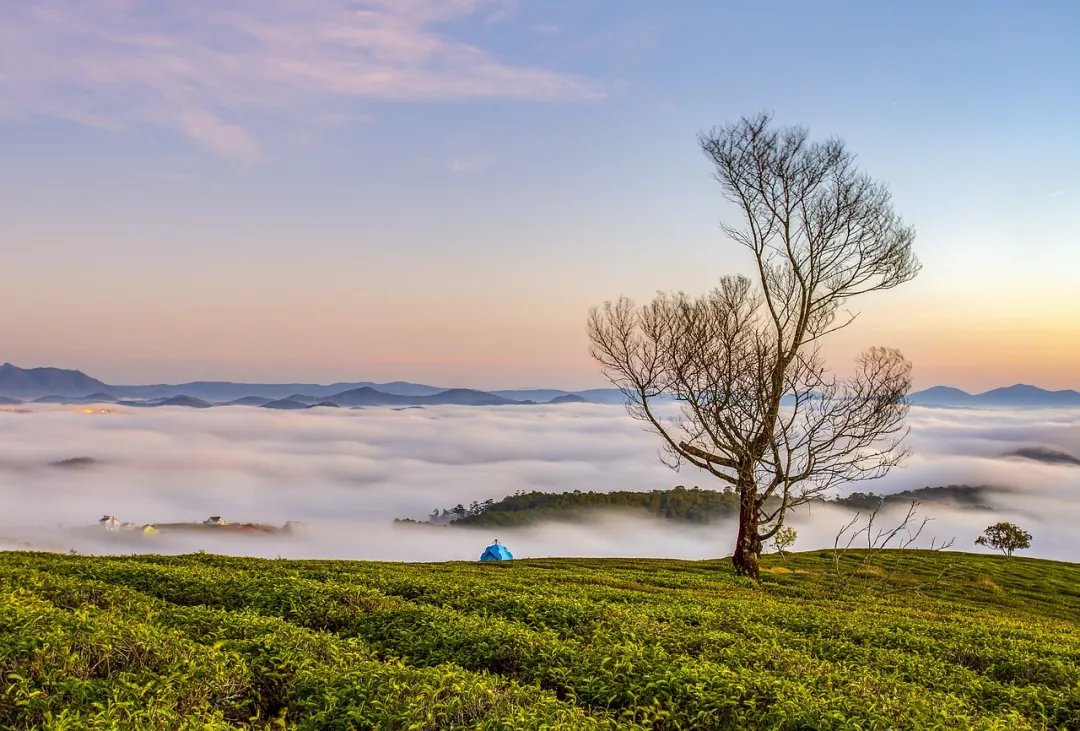 人际关系的最高境界：互为搭台，彼此成就