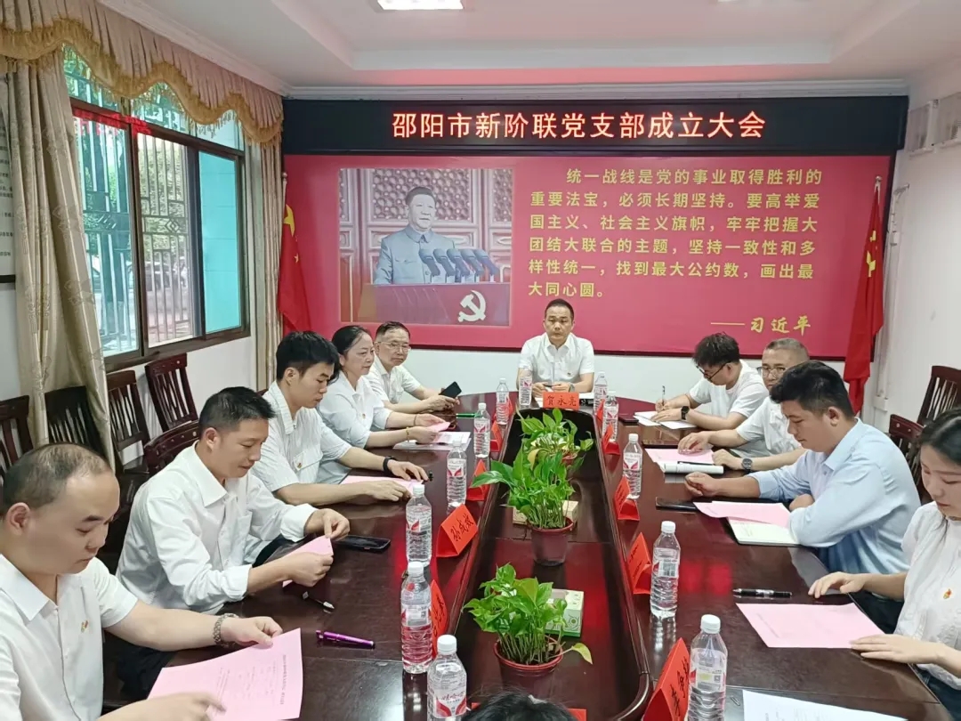 党建引领 向新而行——邵阳市新阶联党支部成立