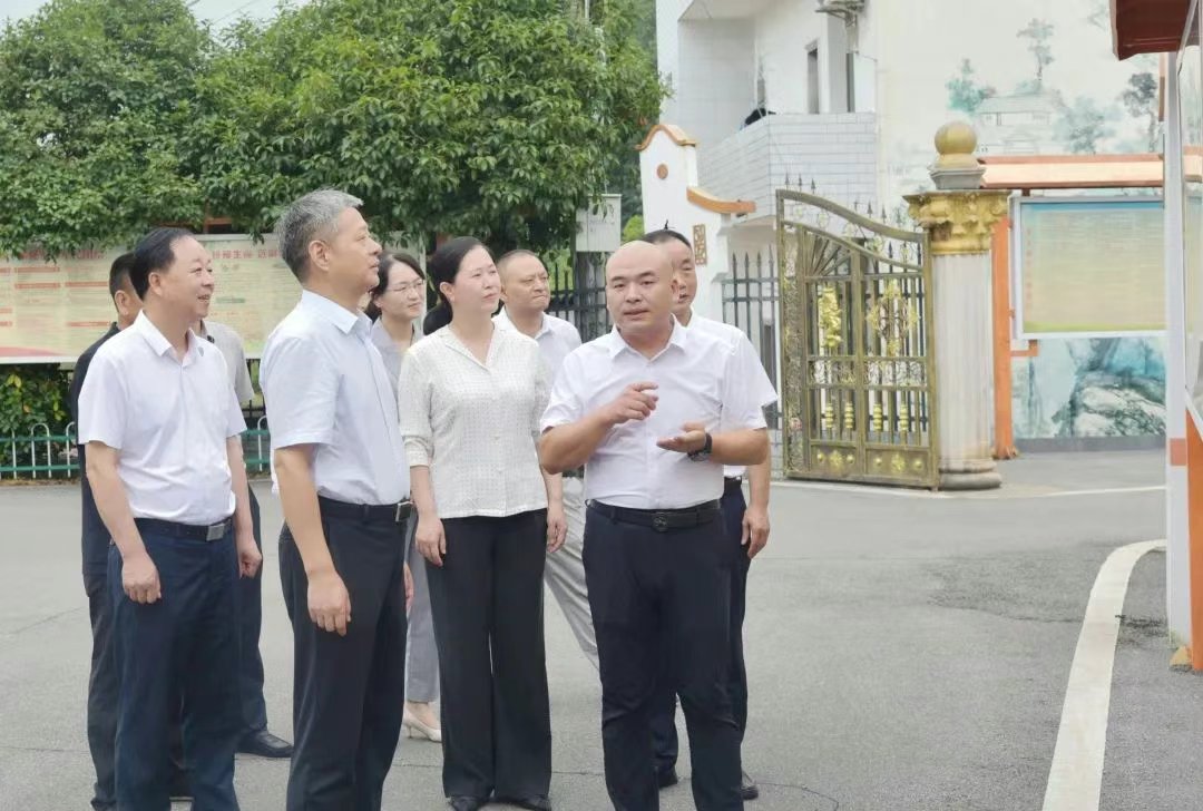 严华专题调研整治形式主义为基层减负工作