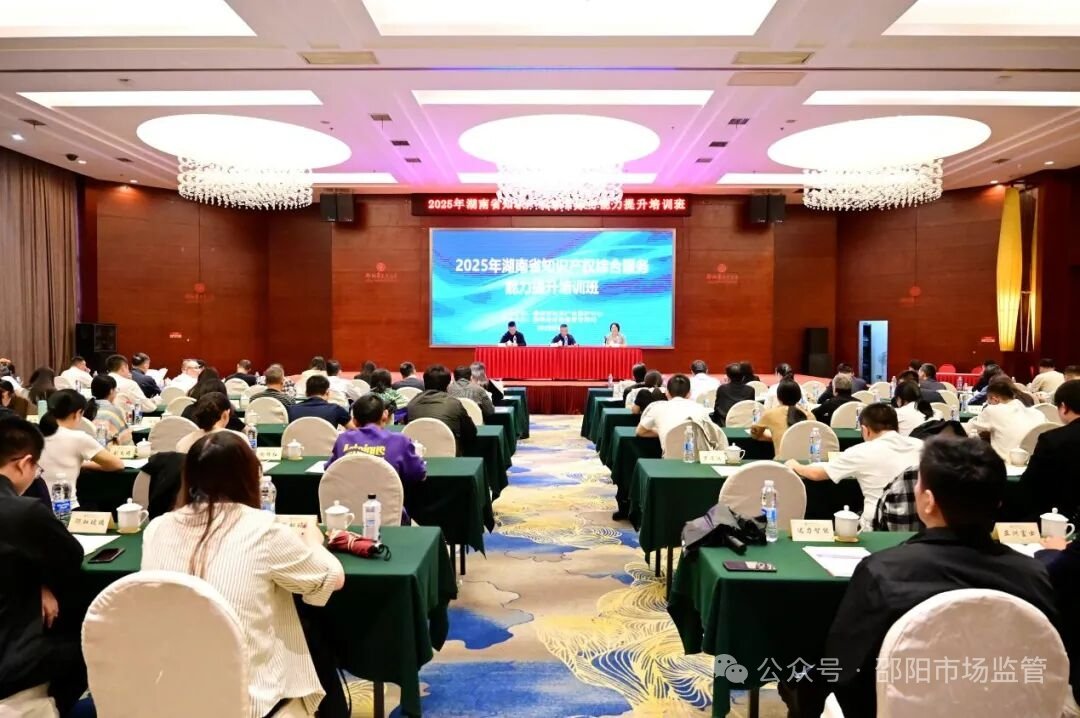 2025年湖南省知识产权综合服务能力提升培训班在邵阳举办