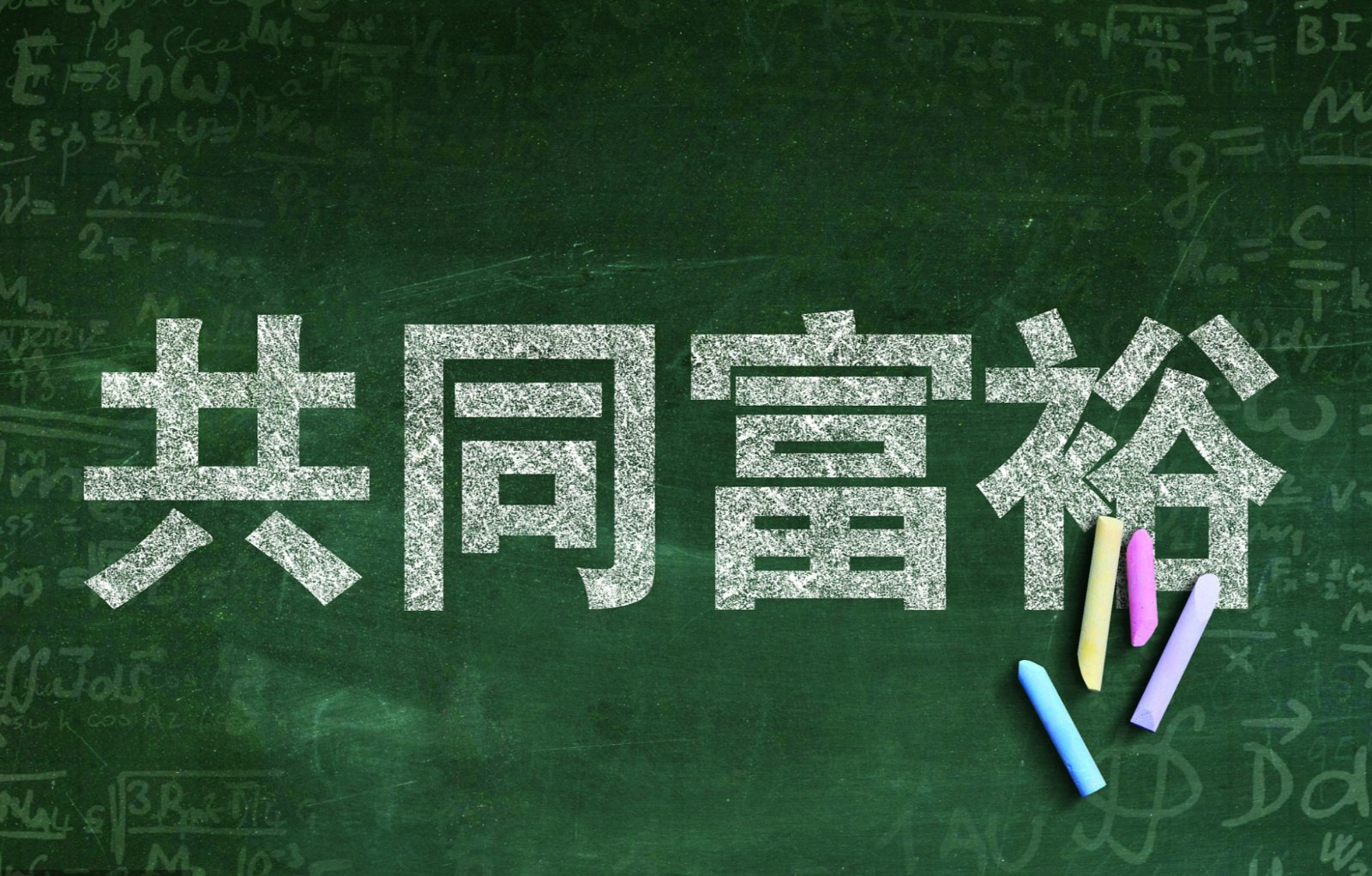 依法治国：全体人民共同富裕是一个总体概念