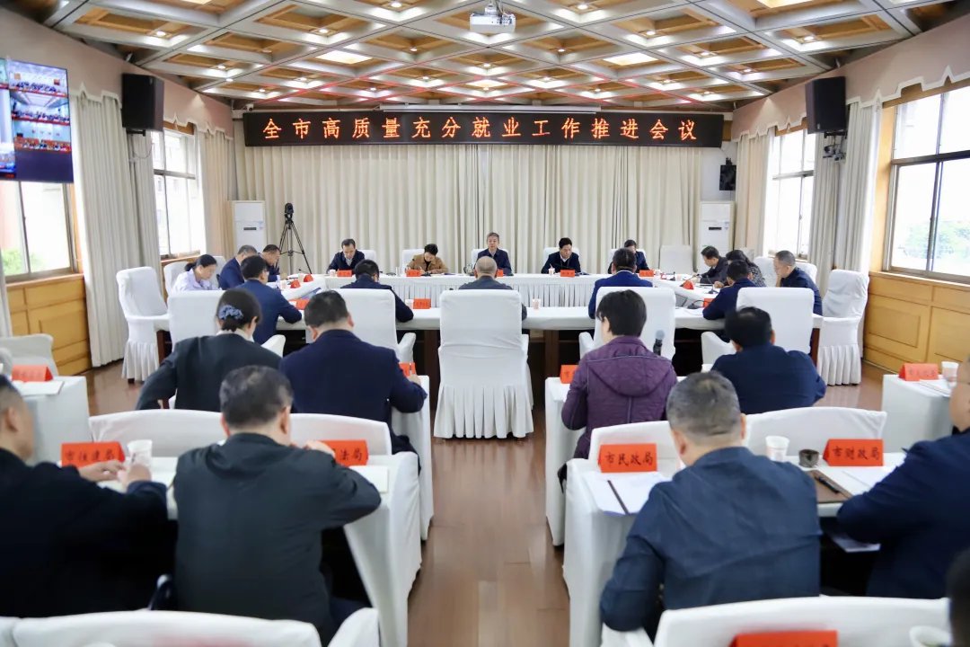 邵阳市高质量充分就业推进会议召开
