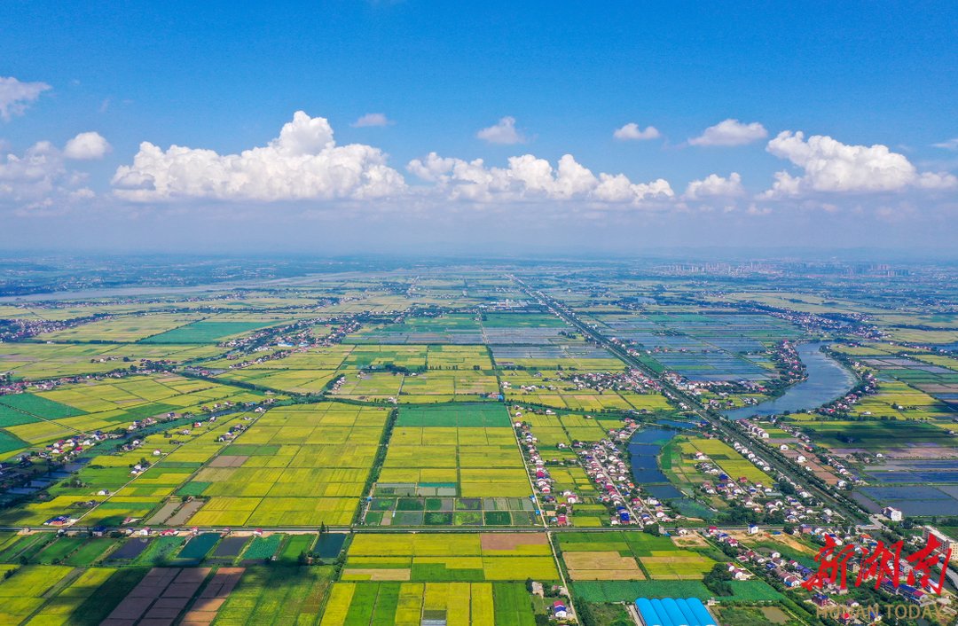 湖南：以高质量建议办理推动高质量发展