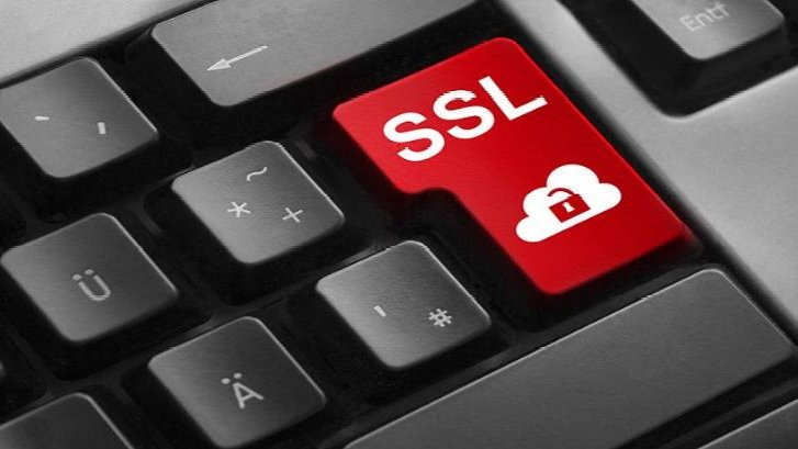 派出所两名辅警盗用副所长数字证书售卖公民信息，牟利11.7万元获刑