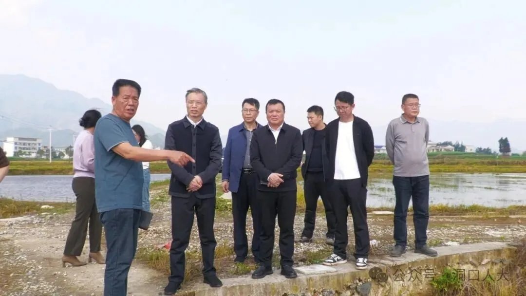 邵阳市人大常委会调研组赴洞口县调研高标准农田建设工作