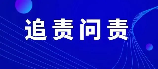 邵阳：推动法治高质量发展 把监督追责问效落到实处