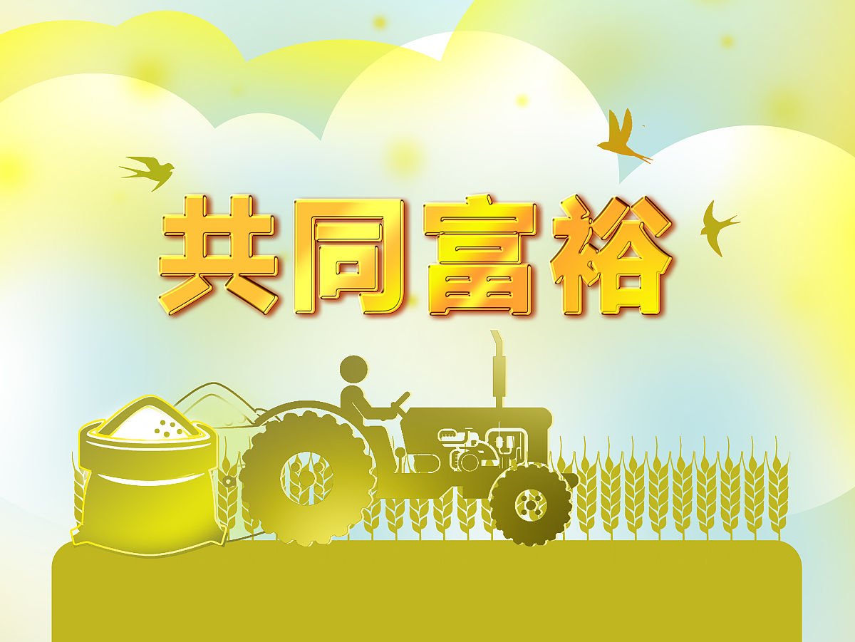 在鼓励勤劳致富中促进共同富裕（有的放矢）