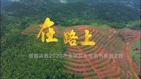 在路上丨邵阳县油斯村-脱贫的必“油”之路