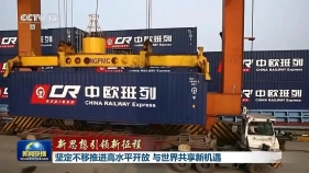 坚定不移推进高水平开放 与世界共享新机遇