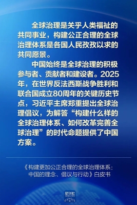 中国政府发布关于全球治理的白皮书