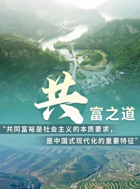 持续扩大中等收入群体规模 扎实推进共同富裕