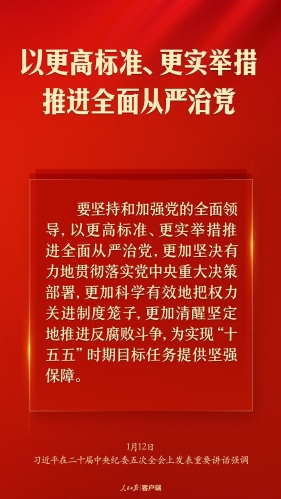 习近平：以更高标准、更实举措推进全面从严治党