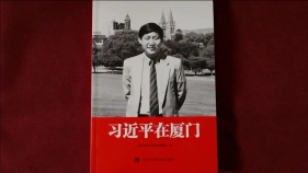 把顶层设计和问计于民统一起来